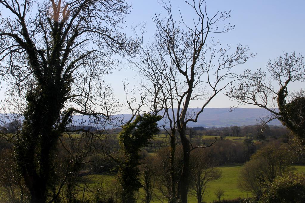 بالينروب Woodview House Bed And Breakfast الغرفة الصورة